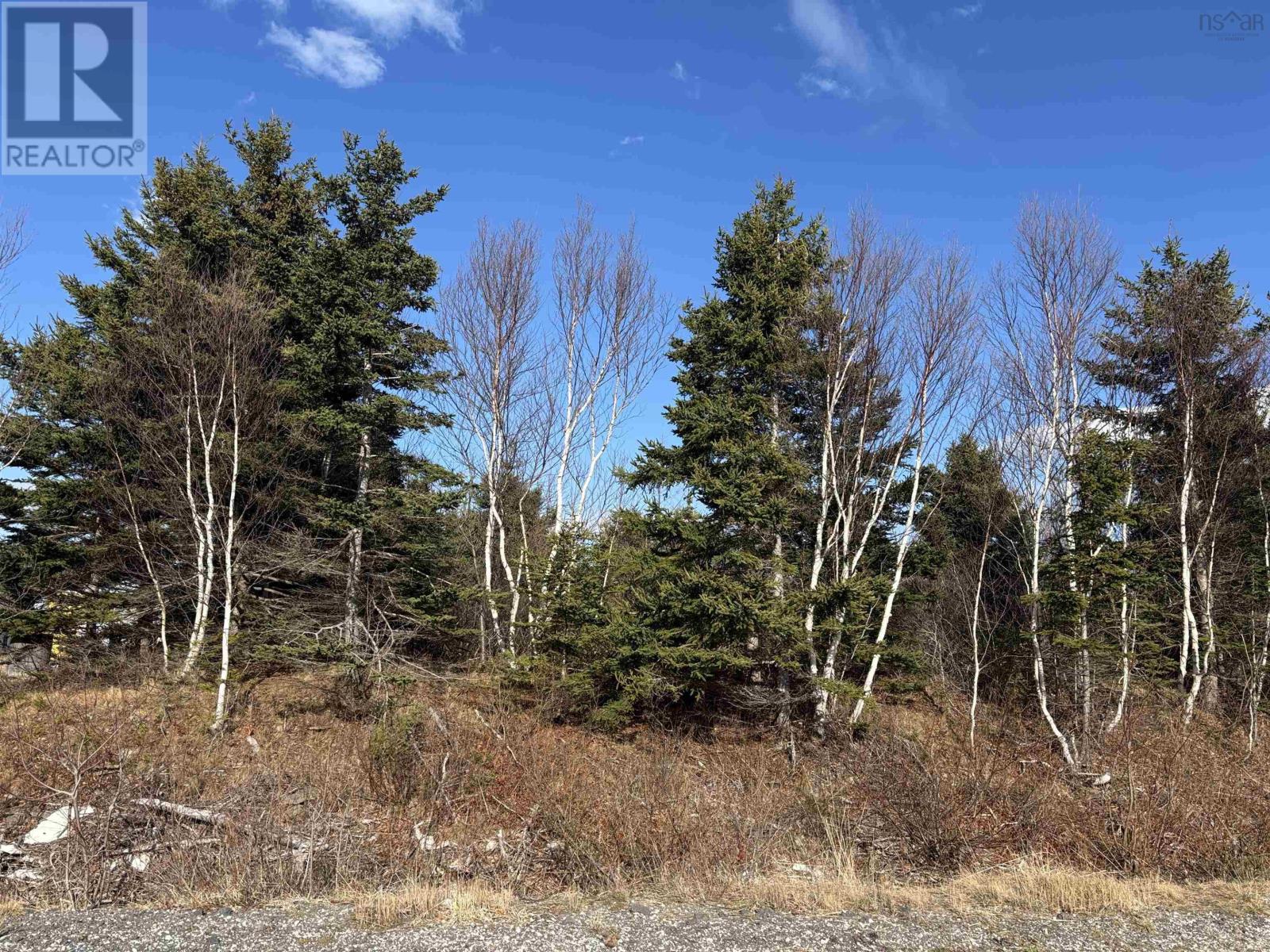 Lot 37 Mclellan Drive, Lingan, Nova Scotia  B1H 5G5 - Photo 1 - 202505707