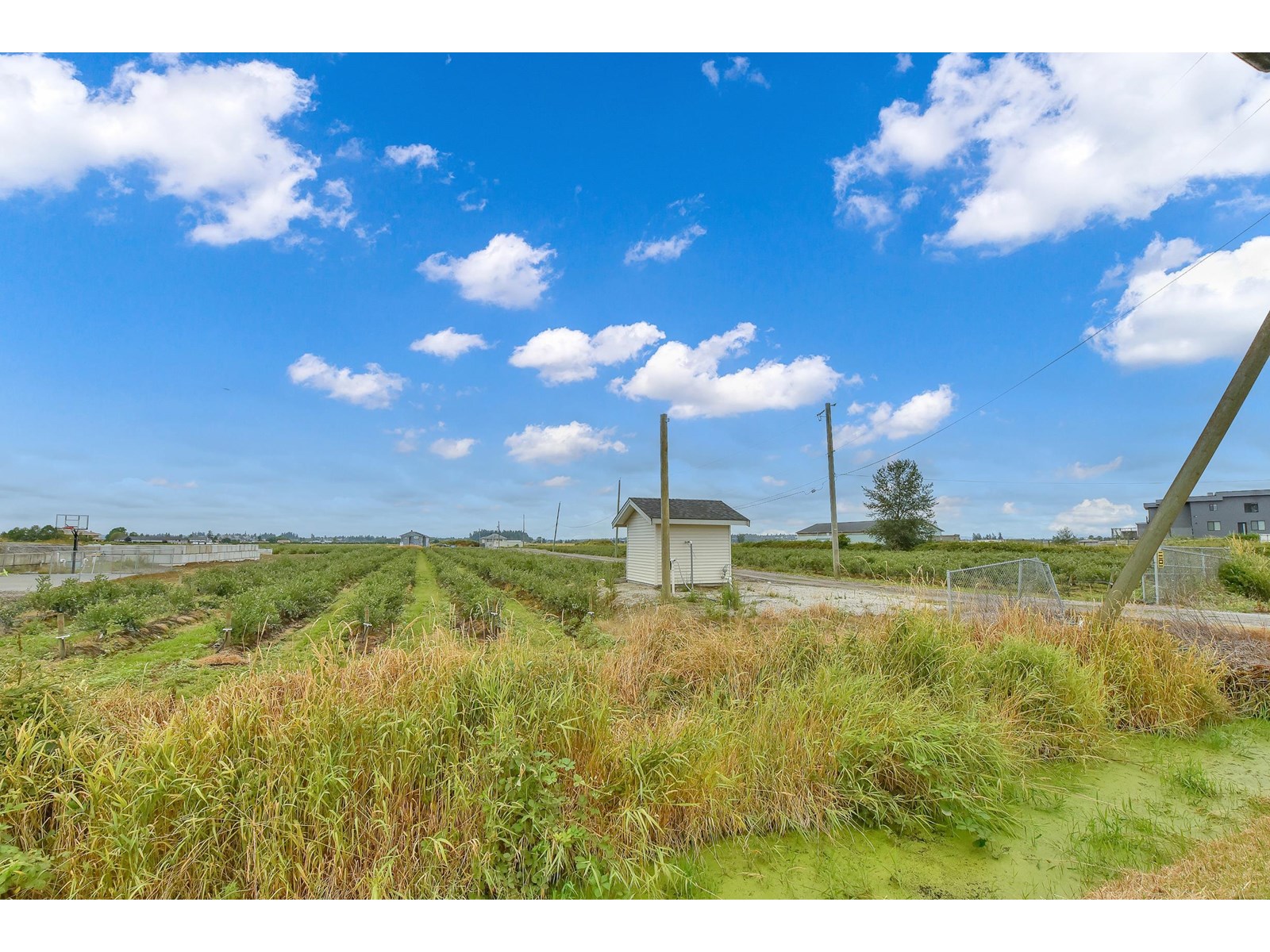 Property at 17027 40 AVENUE image 4