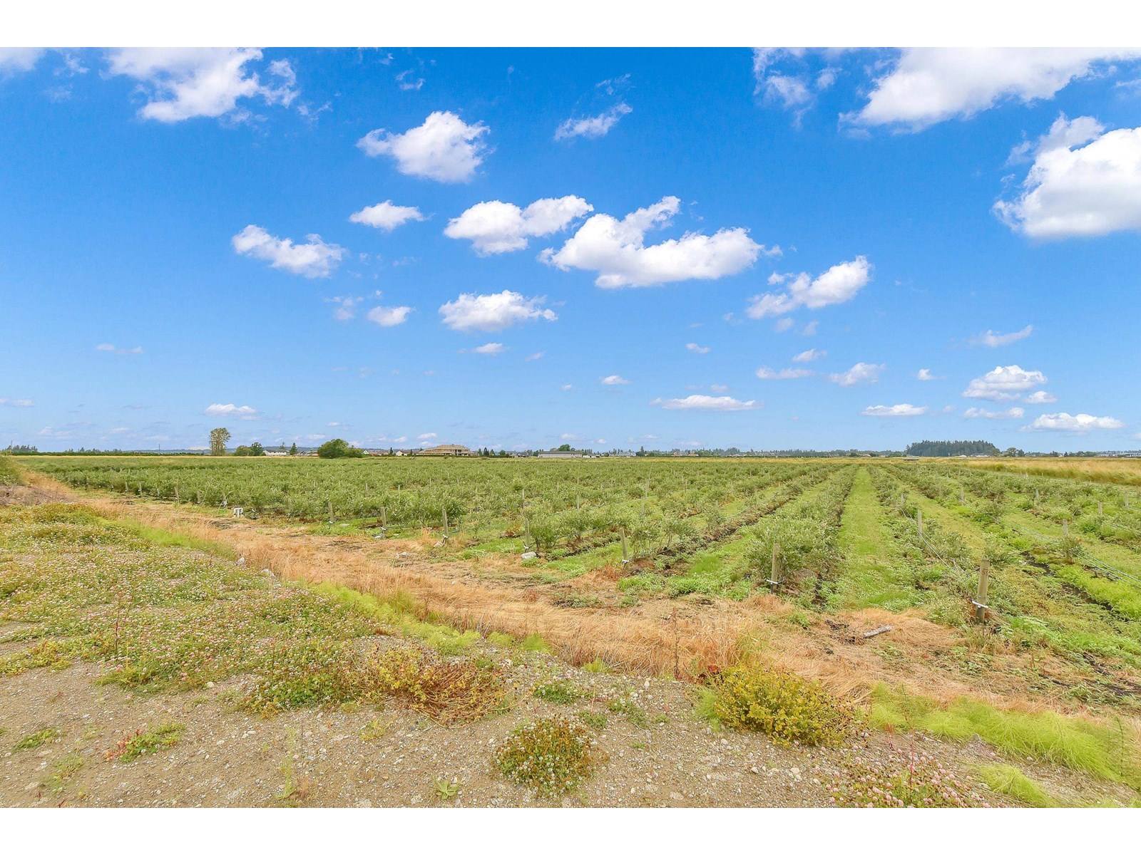 Property at 17027 40 AVENUE image 1
