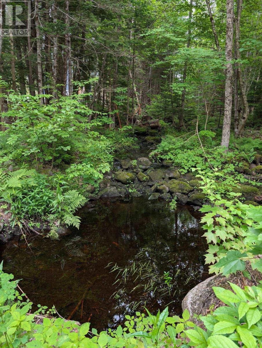 67 Station Road, Beaver Bank, Nova Scotia  B4G 1C8 - Photo 17 - 202514144
