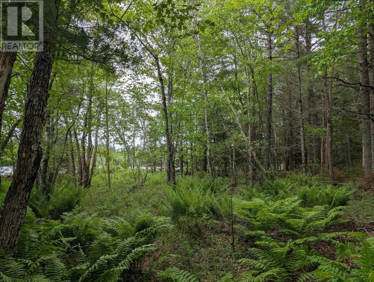 67 Station Road, Beaver Bank, Nova Scotia  B4G 1C8 - Photo 20 - 202514144