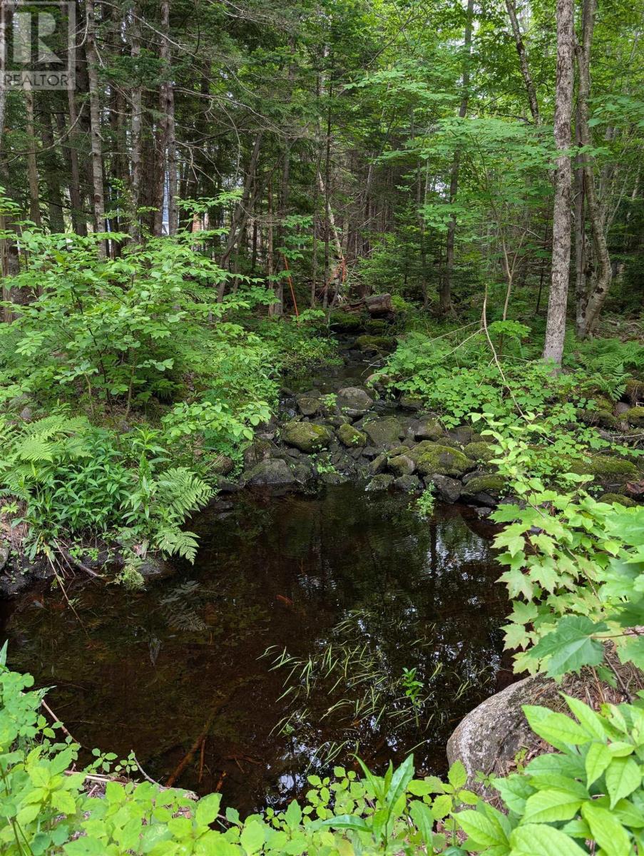 67 Station Road, Beaver Bank, Nova Scotia  B4G 1C8 - Photo 7 - 202514144