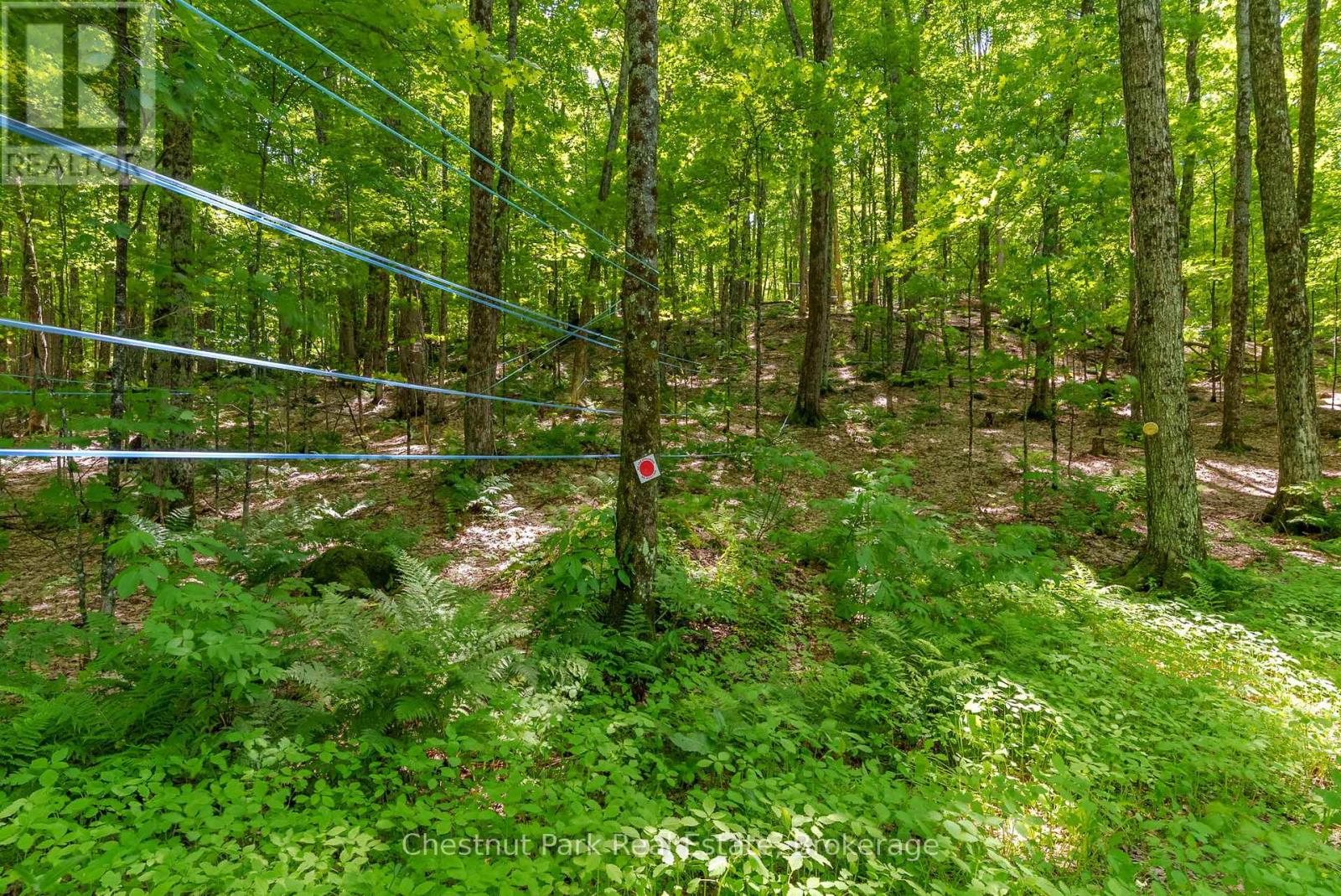 487 O'connor Line Road, Powassan, Ontario  P0H 1Z0 - Photo 42 - X12245404
