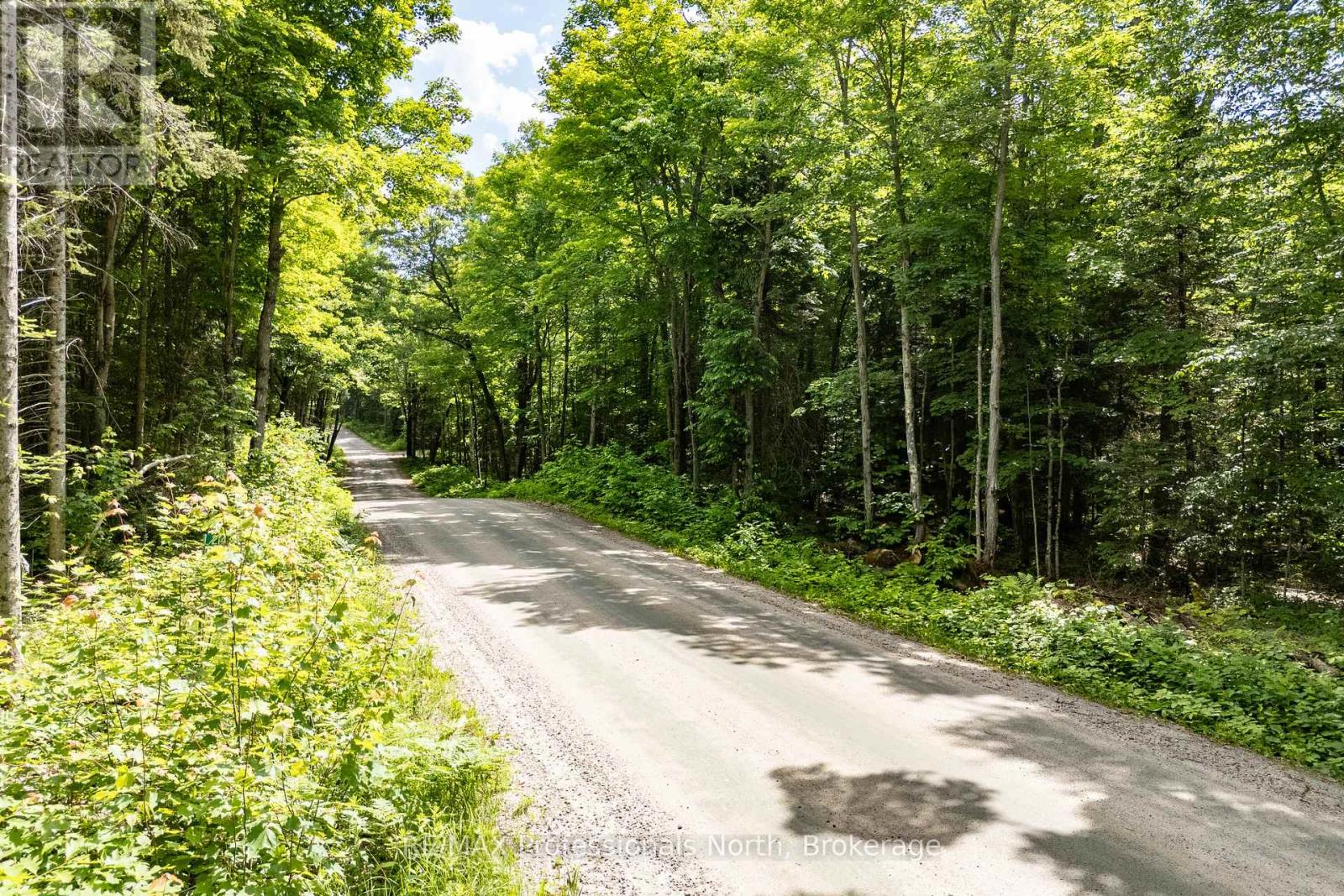 0 South Horn Lake Road, Ryerson, Ontario  P0A 1C0 - Photo 1 - X12245418