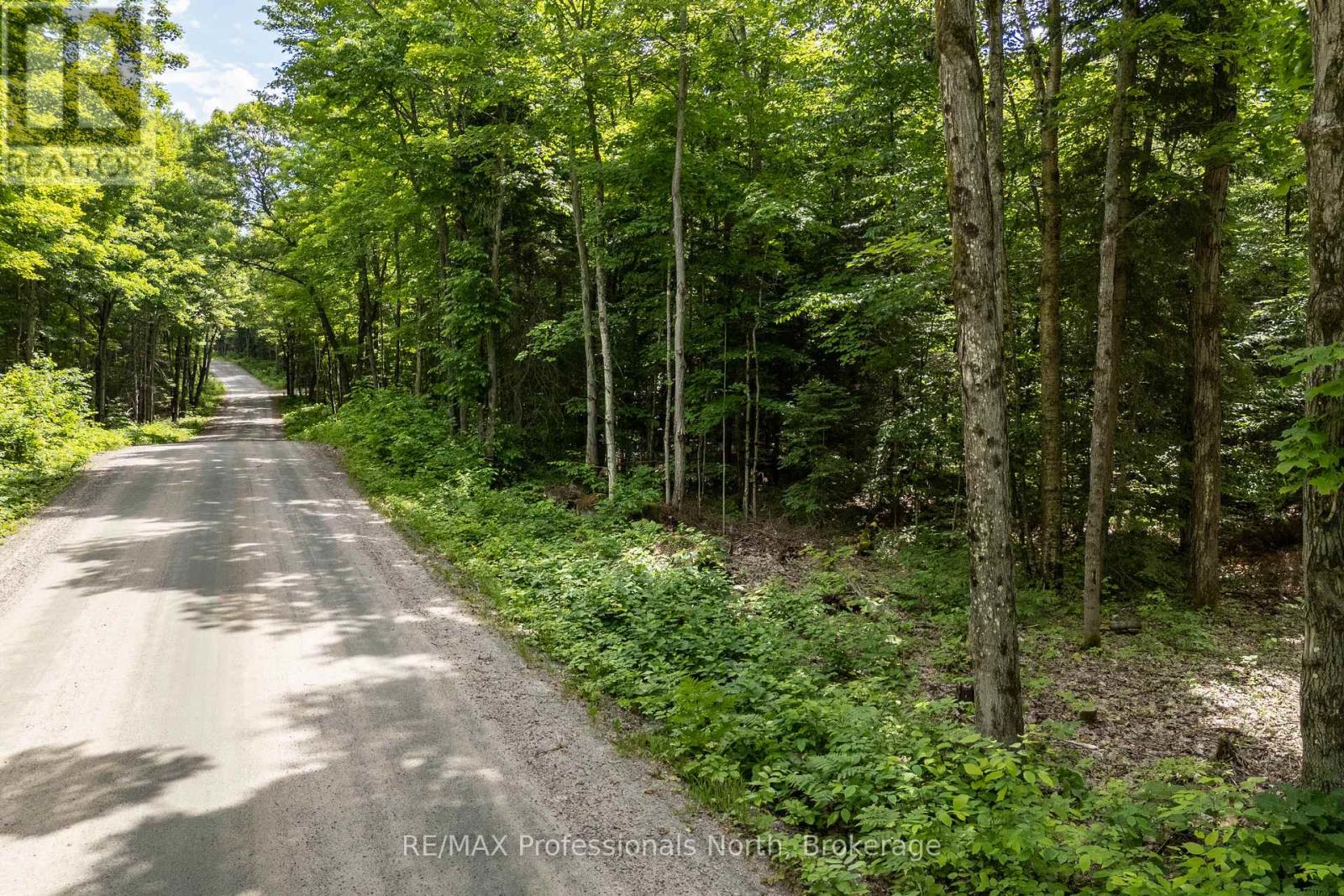0 South Horn Lake Road, Ryerson, Ontario  P0A 1C0 - Photo 10 - X12245418