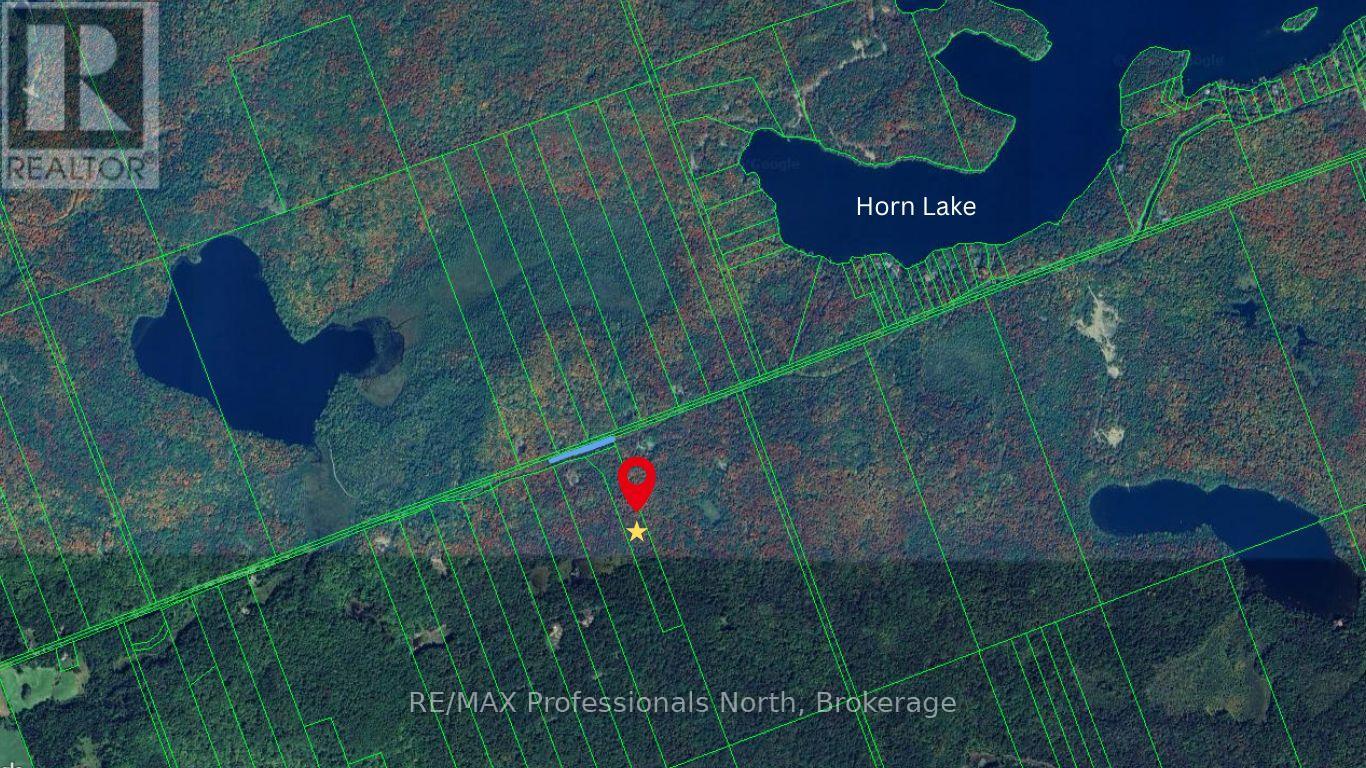 0 South Horn Lake Road, Ryerson, Ontario  P0A 1C0 - Photo 12 - X12245418