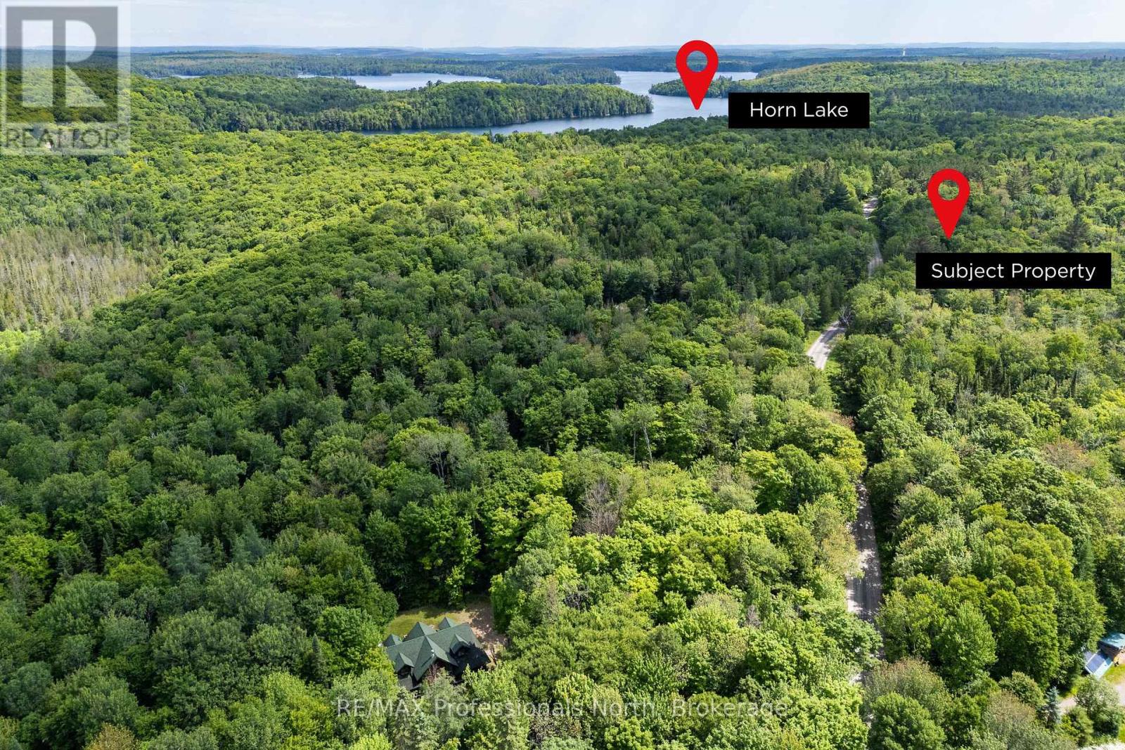 0 South Horn Lake Road, Ryerson, Ontario  P0A 1C0 - Photo 4 - X12245418