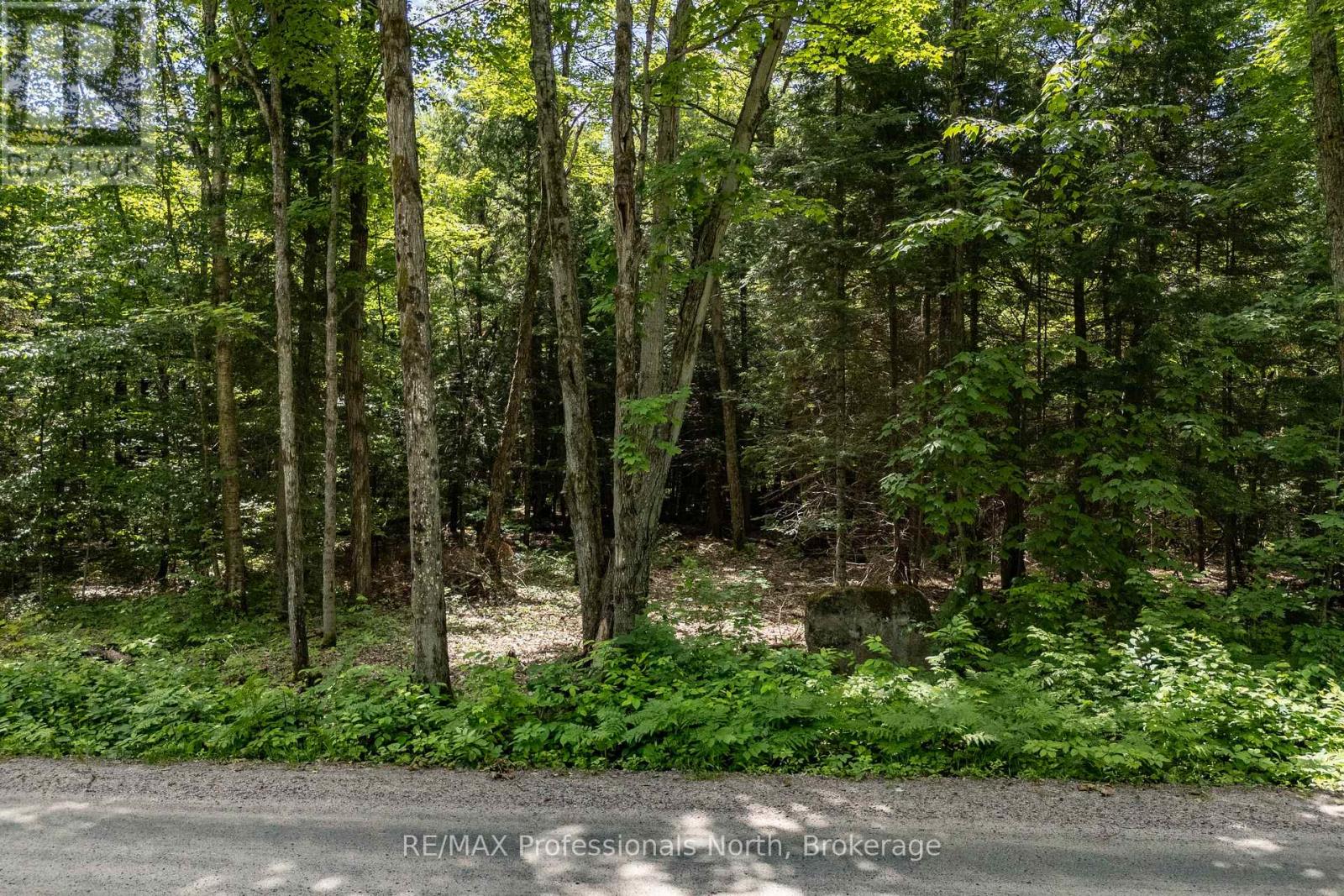 0 South Horn Lake Road, Ryerson, Ontario  P0A 1C0 - Photo 5 - X12245418