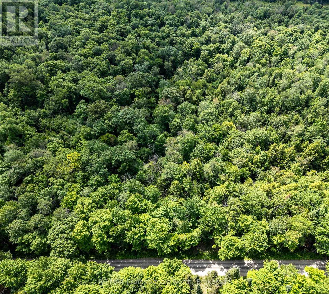 0 South Horn Lake Road, Ryerson, Ontario  P0A 1C0 - Photo 6 - X12245418