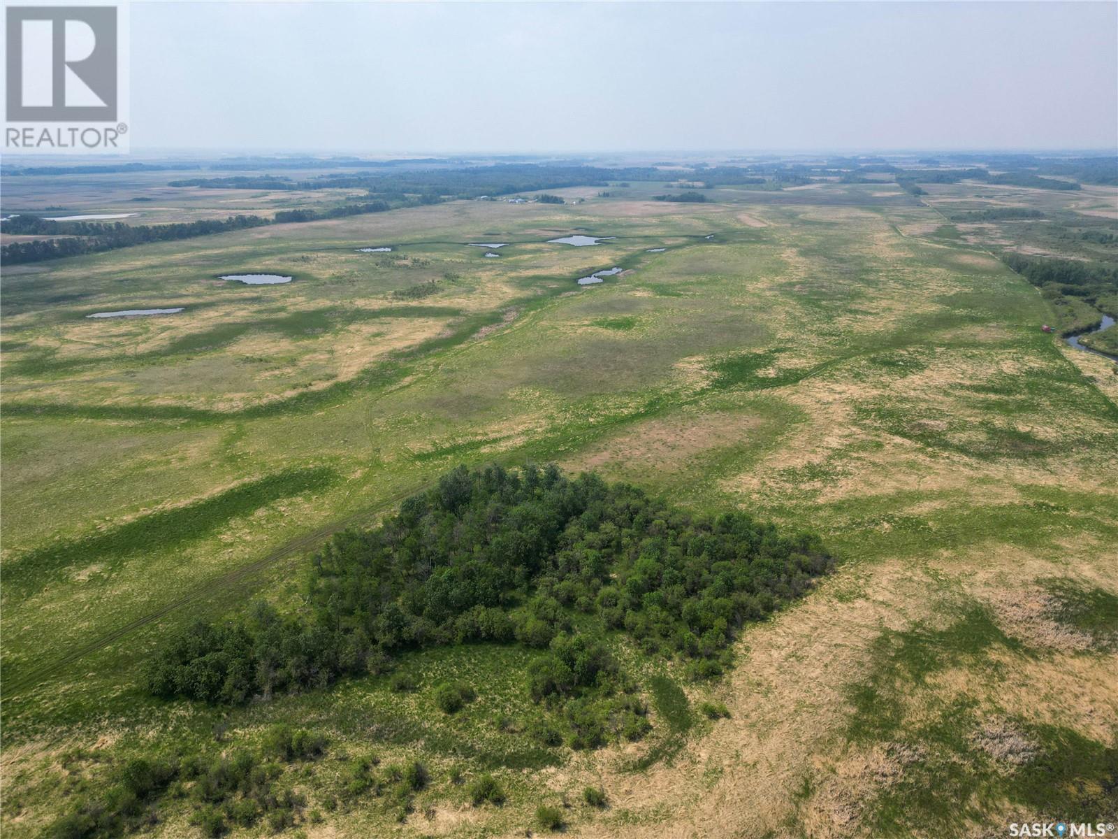 Gobeil Road Farmland, Buckland Rm No. 491, Saskatchewan  S6V 5R2 - Photo 10 - SK008604