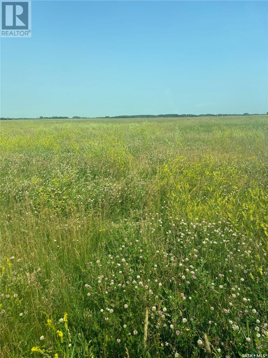 Gobeil Road Farmland, Buckland Rm No. 491, Saskatchewan  S6V 5R2 - Photo 21 - SK008604