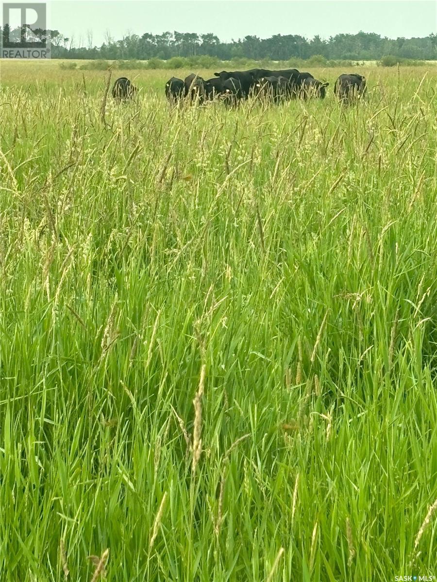 Gobeil Road Farmland, Buckland Rm No. 491, Saskatchewan  S6V 5R2 - Photo 23 - SK008604