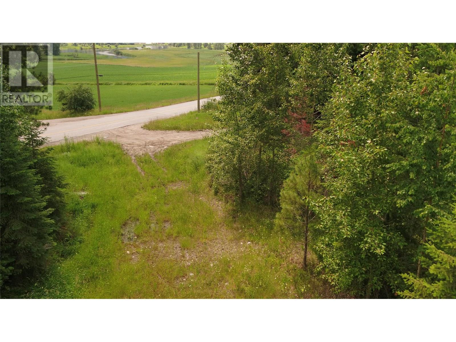1477 Enderby Mabel Lake Road, Enderby, British Columbia  V0E 1V5 - Photo 3 - 10353725