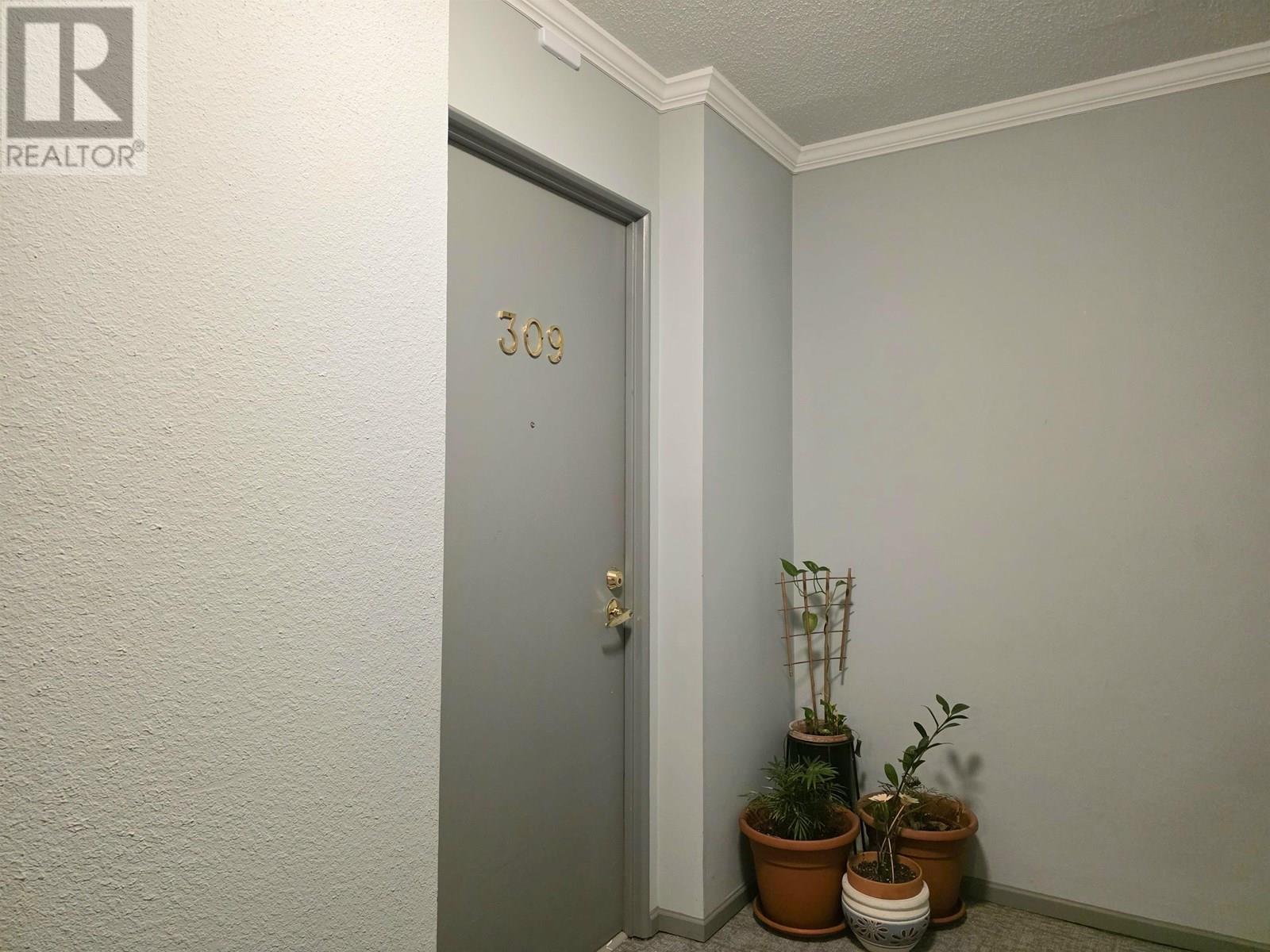 309 225 W 3rd Street, North Vancouver, British Columbia  V7M 1E9 - Photo 20 - R3019964