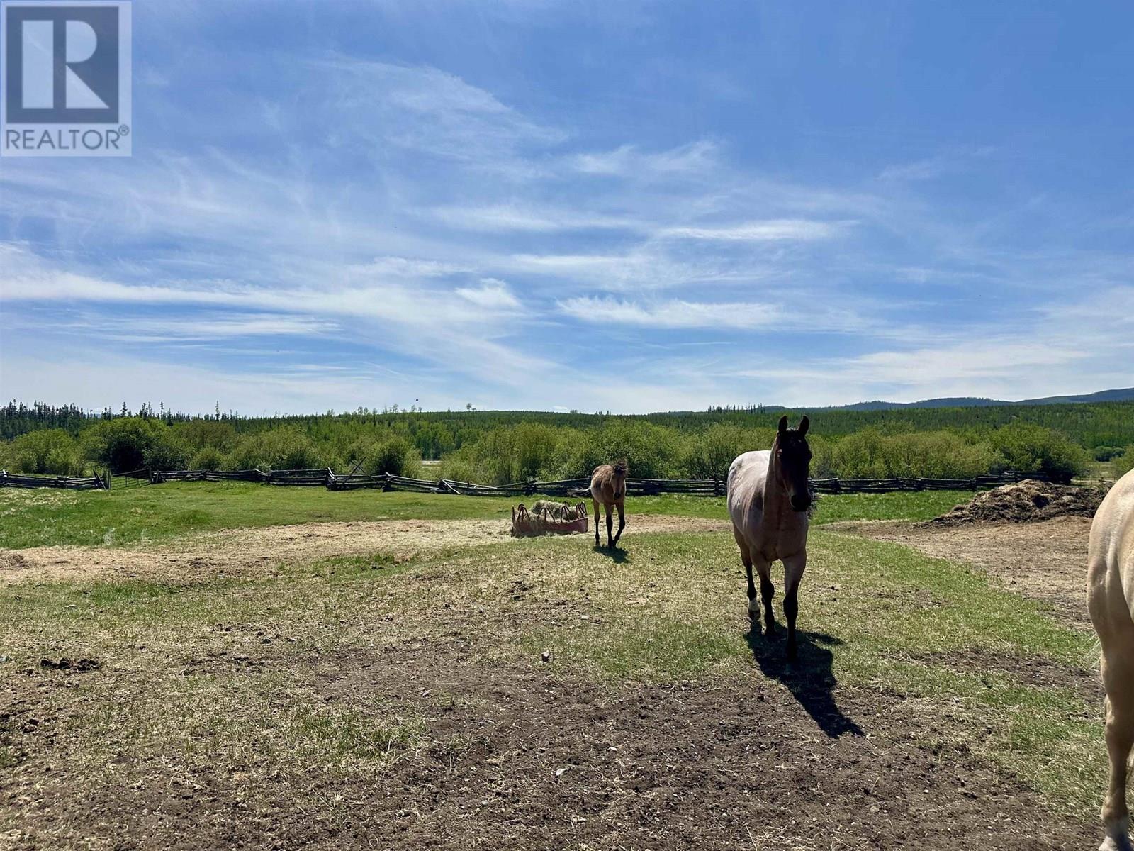 6435 Farwell Canyon Road, Williams Lake, British Columbia  V0L 1T0 - Photo 40 - R3020049