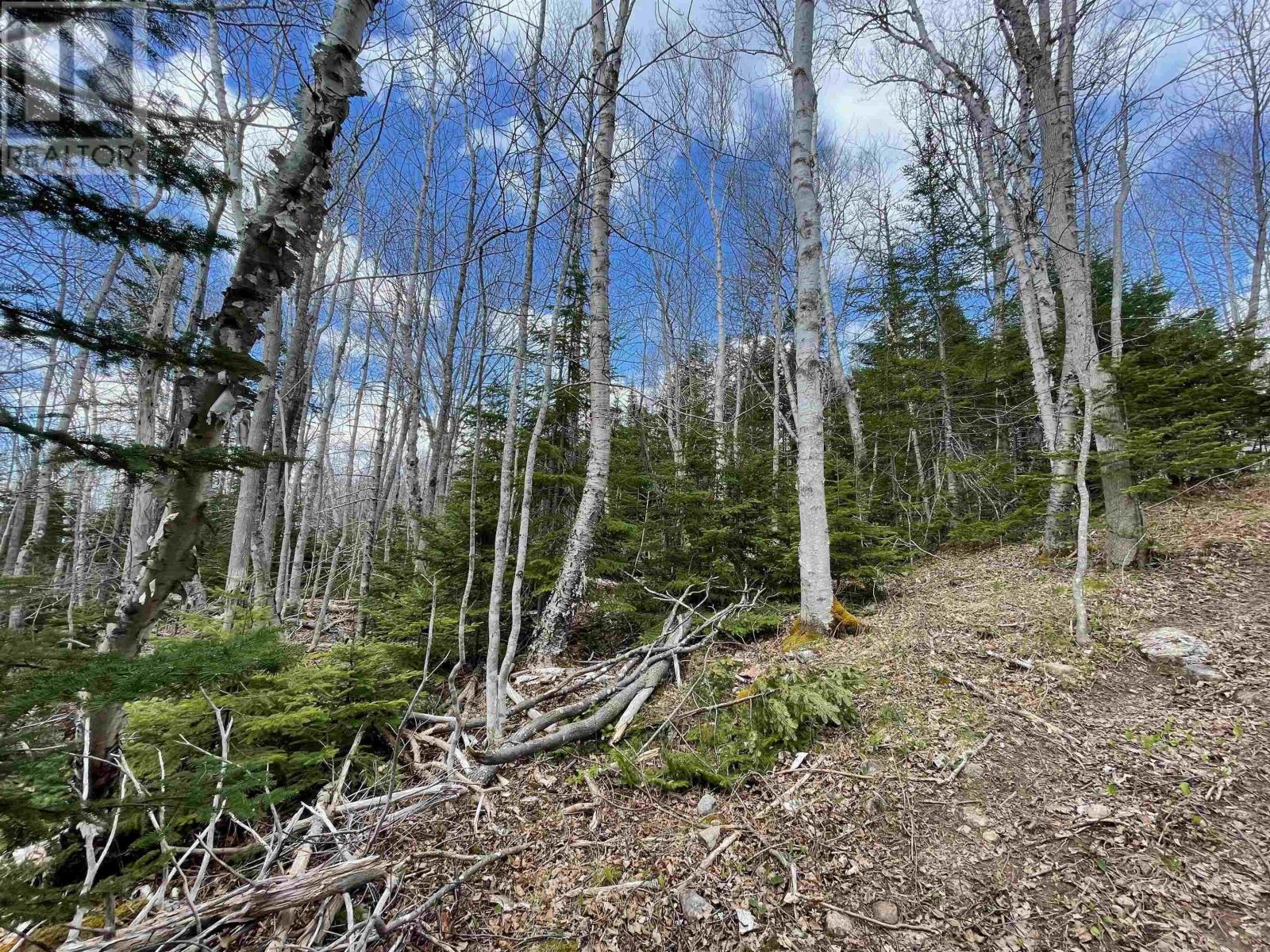6f 00 Campbell Road, Balls Creek, Nova Scotia  B2X 4M1 - Photo 11 - 202515649