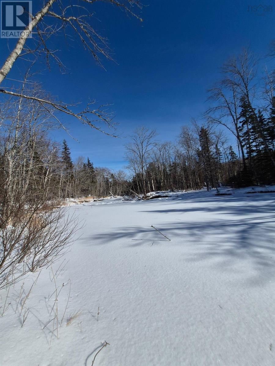 6f 00 Campbell Road, Balls Creek, Nova Scotia  B2X 4M1 - Photo 14 - 202515649