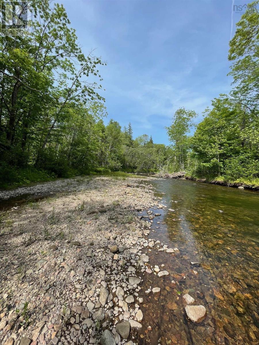 6f 00 Campbell Road, Balls Creek, Nova Scotia  B2X 4M1 - Photo 2 - 202515649