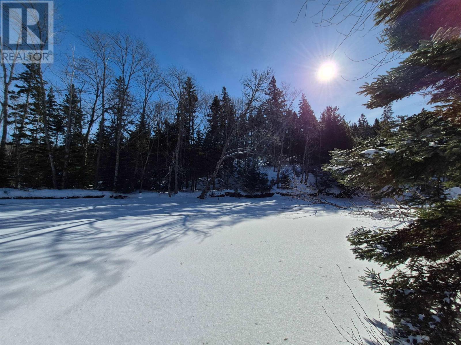 6f 00 Campbell Road, Balls Creek, Nova Scotia  B2X 4M1 - Photo 15 - 202515649