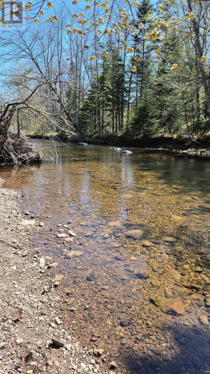 6f 00 Campbell Road, Balls Creek, Nova Scotia  B2X 4M1 - Photo 3 - 202515649