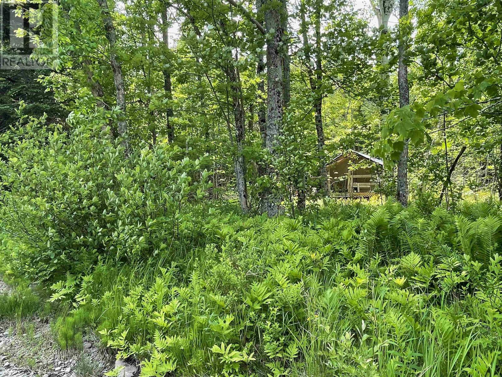6f 00 Campbell Road, Balls Creek, Nova Scotia  B2X 4M1 - Photo 5 - 202515649
