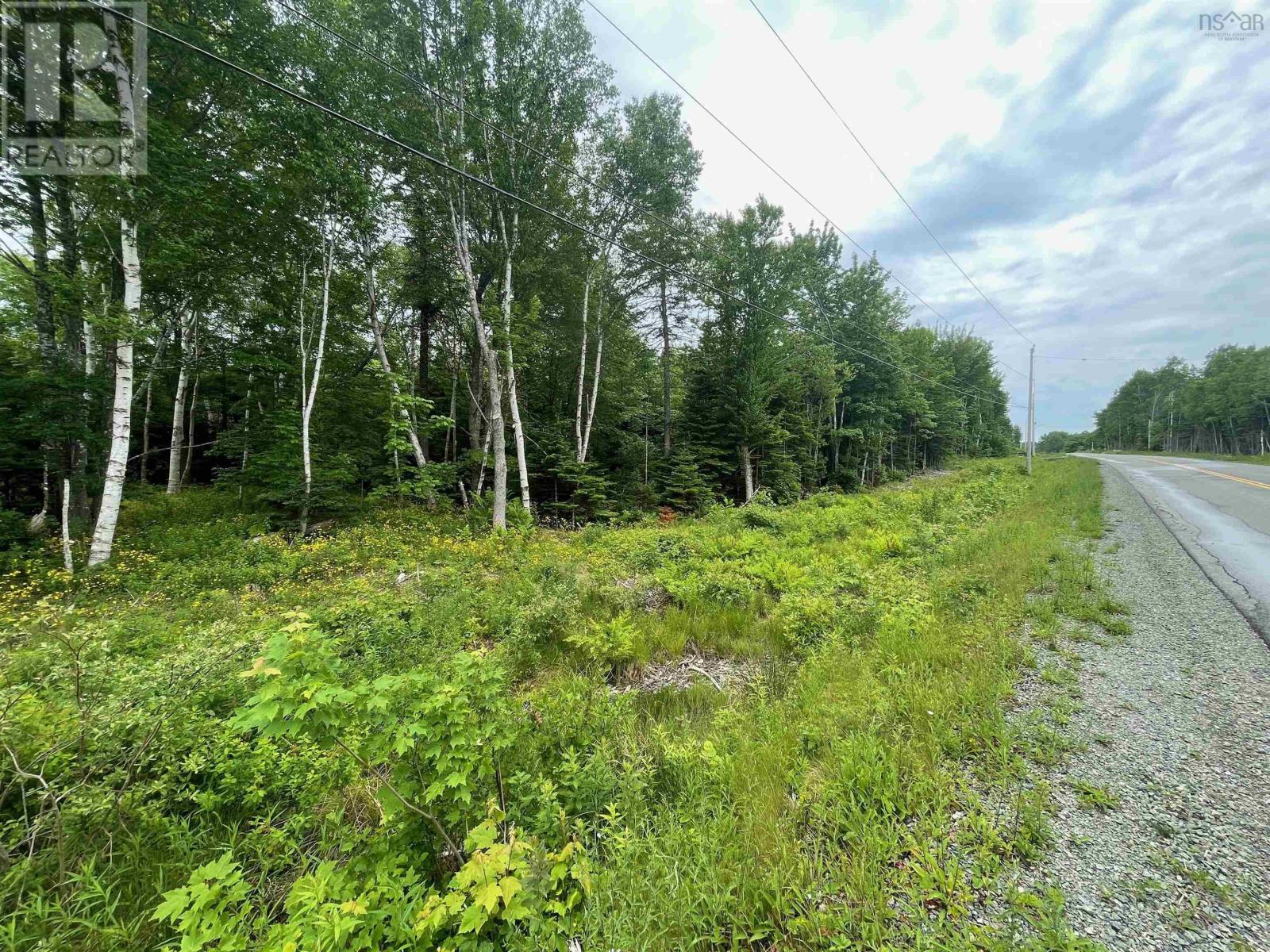 6f 00 Campbell Road, Balls Creek, Nova Scotia  B2X 4M1 - Photo 9 - 202515649