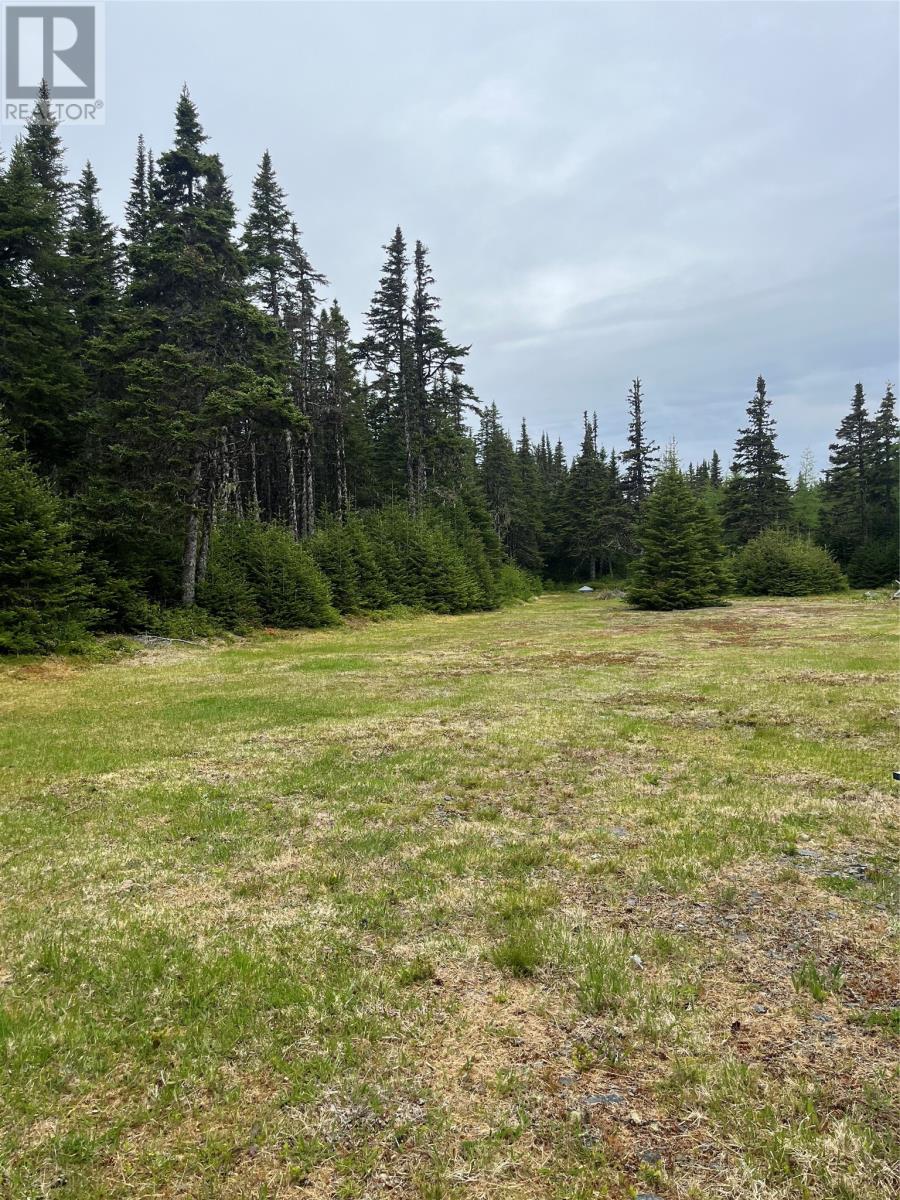 55 World Pond Road, Port Rexton, Newfoundland & Labrador   - Photo 3 - 1286708