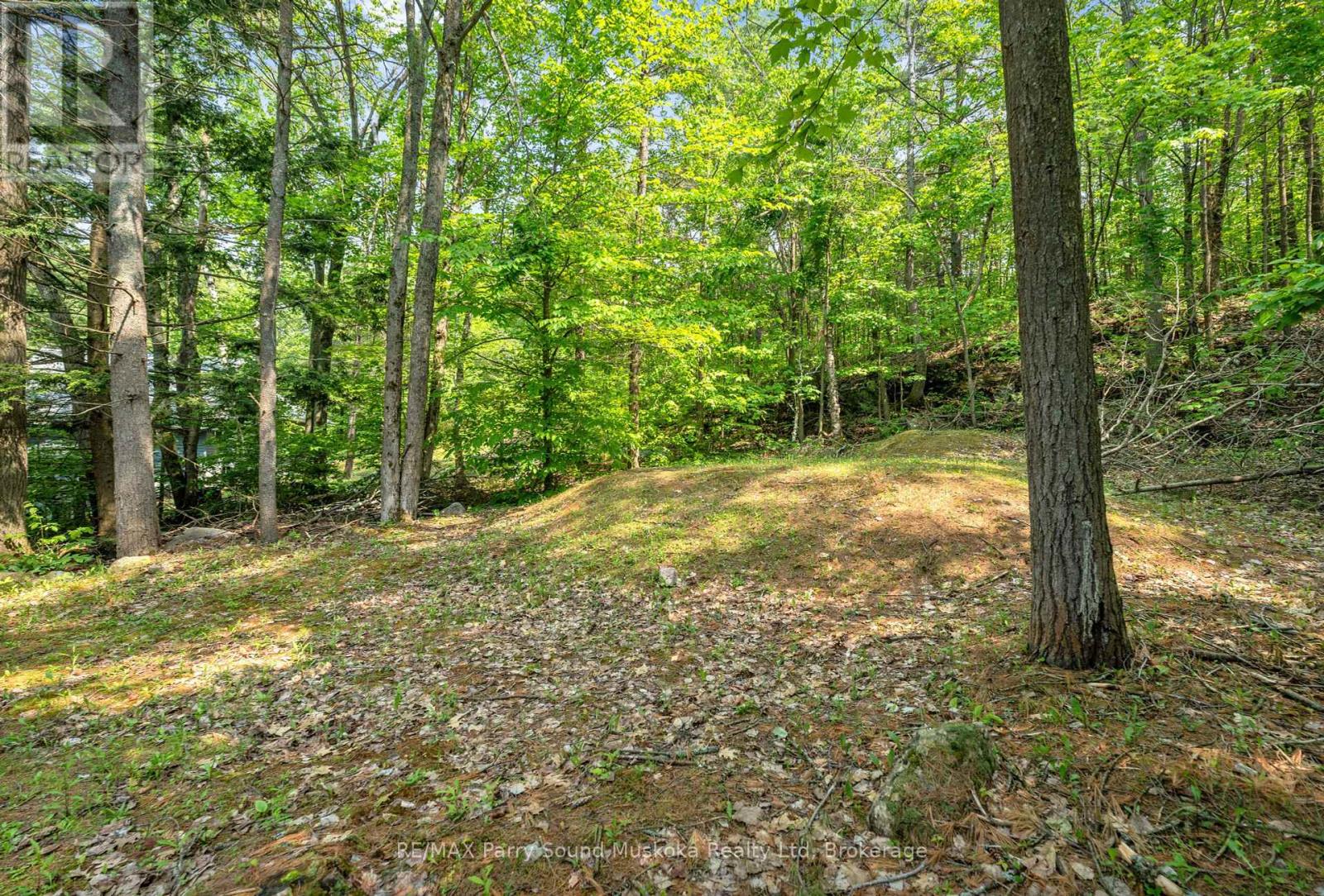 124 Healey Lake Water, The Archipelago, Ontario  P2A 2W8 - Photo 33 - X12244092