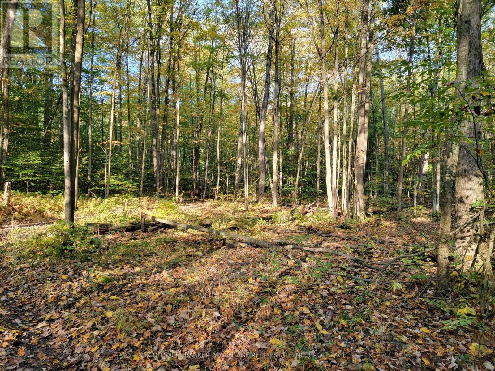 154&155 Lot, Thorold, Ontario  L0S 1E6 - Photo 10 - X12246238