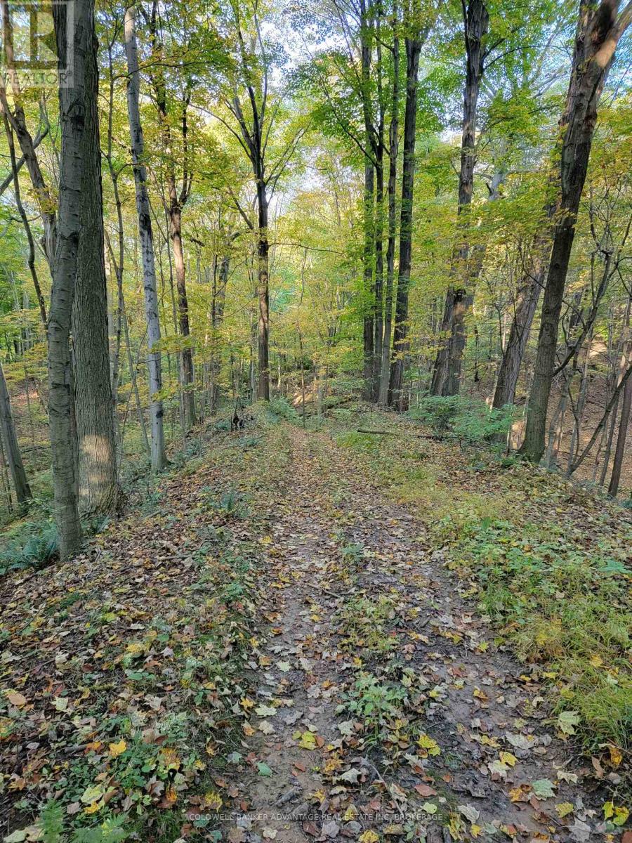 154&155 Lot, Thorold, Ontario  L0S 1E6 - Photo 8 - X12246238