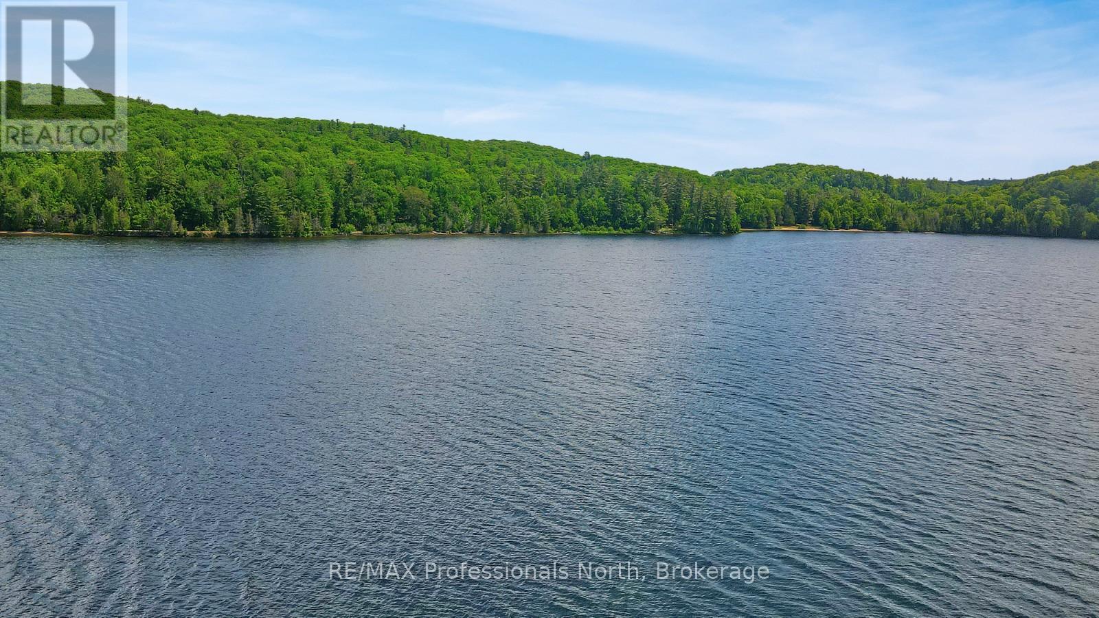 Lot 34 W Diamond Lake Road, Hastings Highlands, Ontario  K0L 2A0 - Photo 16 - X12246240