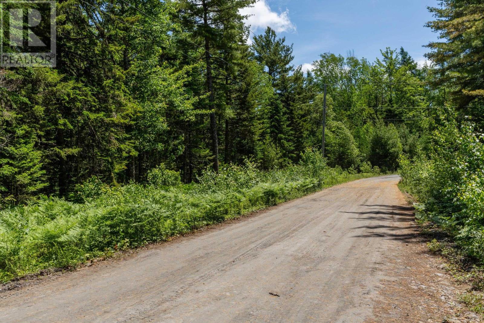 Lot 19 Ernest Marion Drive, Laconia, Nova Scotia  B4V 5W1 - Photo 13 - 202515785