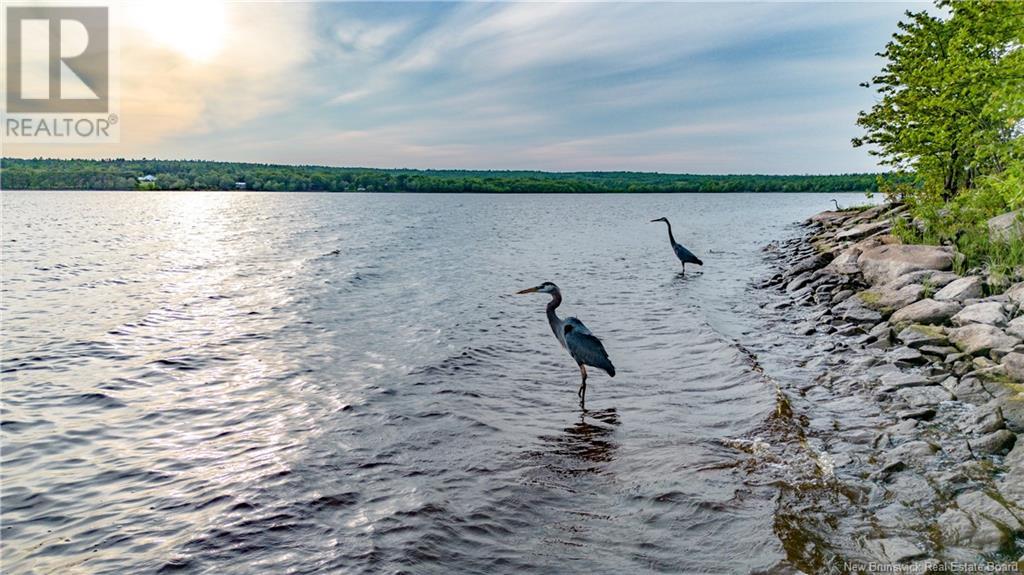 1304 Scenic Narrows Boulevard, Cambridge-Narrows, New Brunswick  E4C 2N6 - Photo 34 - NB121436