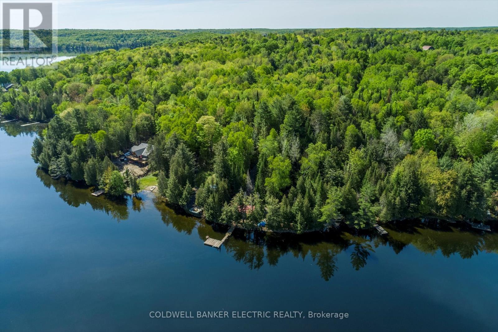 1224 Mccrackens Lane, Minden Hills, Ontario  K0M 2K0 - Photo 40 - X12246320