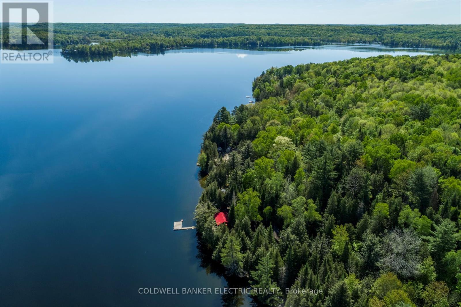 1224 Mccrackens Lane, Minden Hills, Ontario  K0M 2K0 - Photo 44 - X12246320