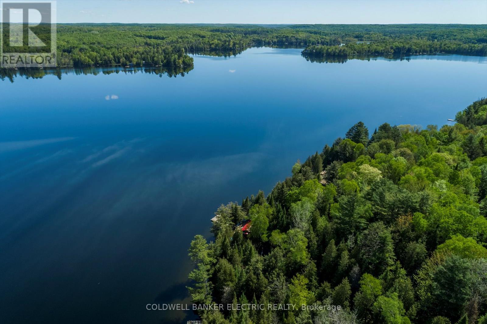 1224 Mccrackens Lane, Minden Hills, Ontario  K0M 2K0 - Photo 45 - X12246320