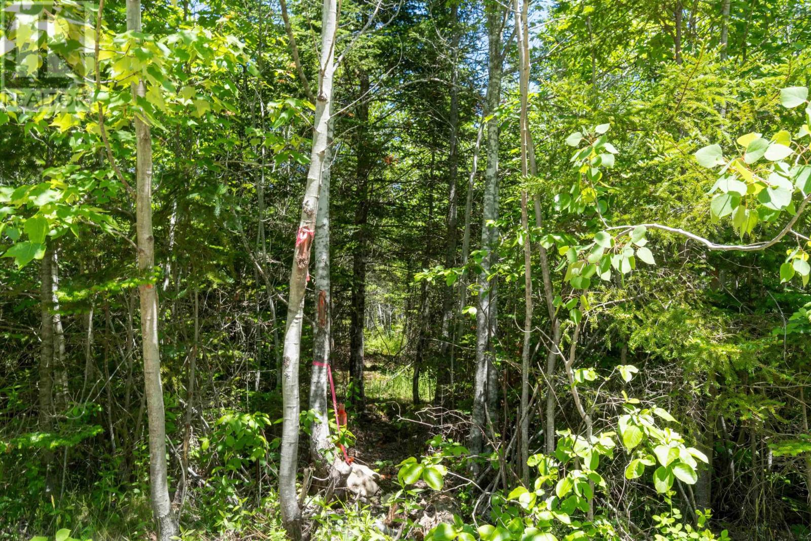 Lot 15 Old Renfrew Road, Upper Rawdon, Nova Scotia  B0N 2N0 - Photo 14 - 202500625