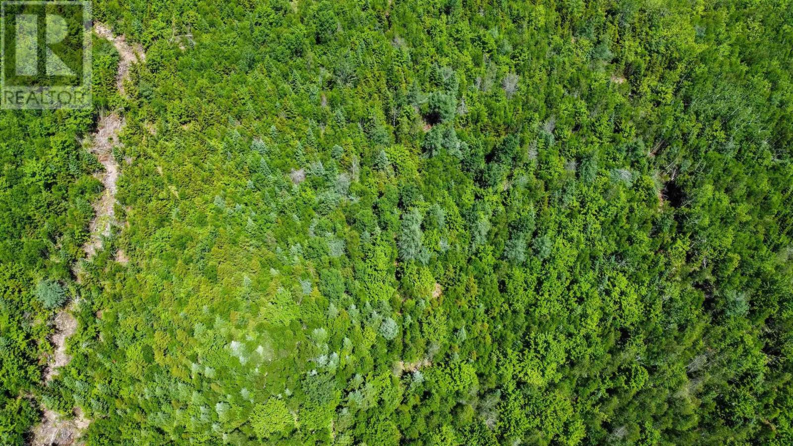 Lot 15 Old Renfrew Road, Upper Rawdon, Nova Scotia  B0N 2N0 - Photo 12 - 202500625