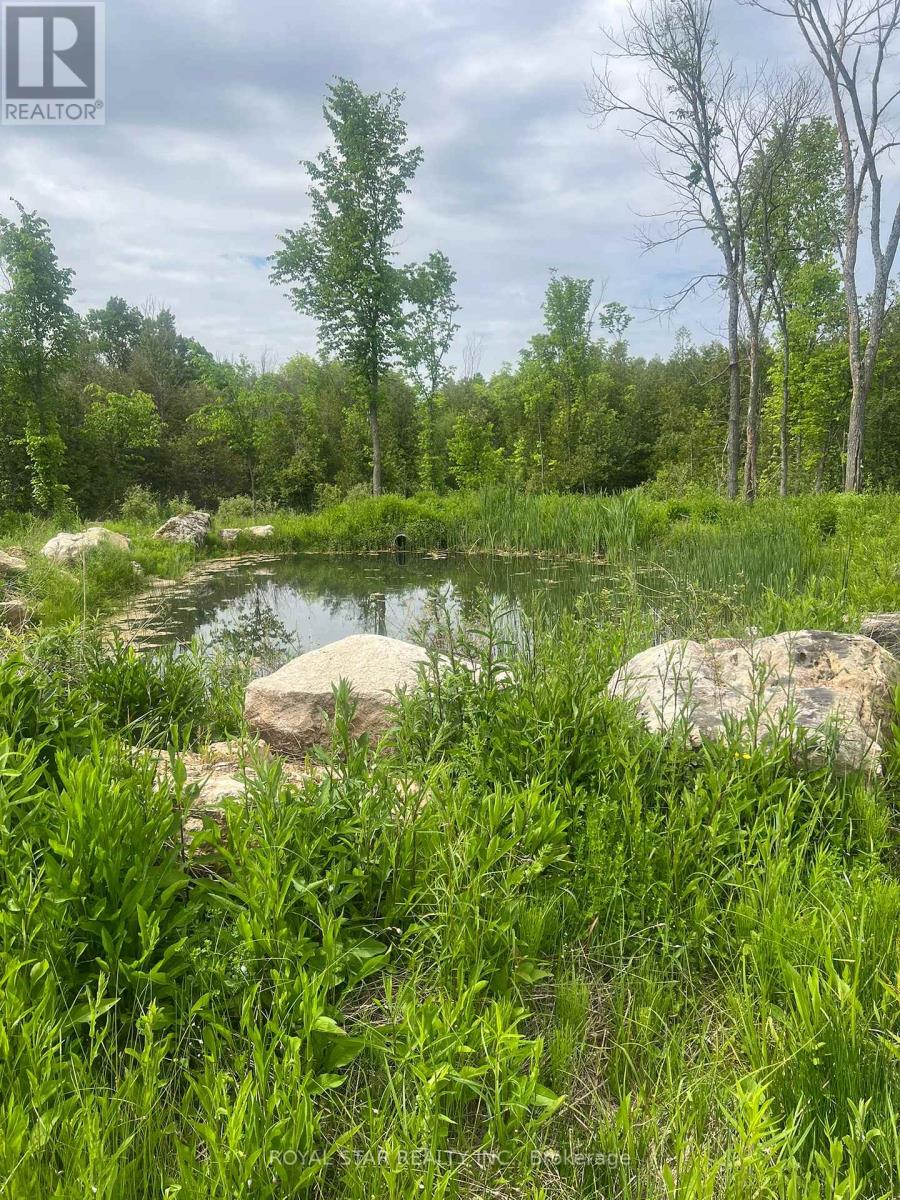 104264 Grey Road 18, Meaford, Ontario  N0H 1E0 - Photo 15 - X12212963