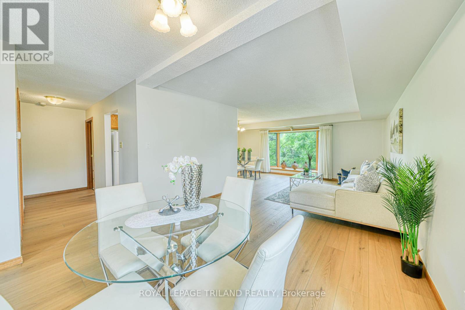 Property at 206 - 4 ALBERT STREET image 5
