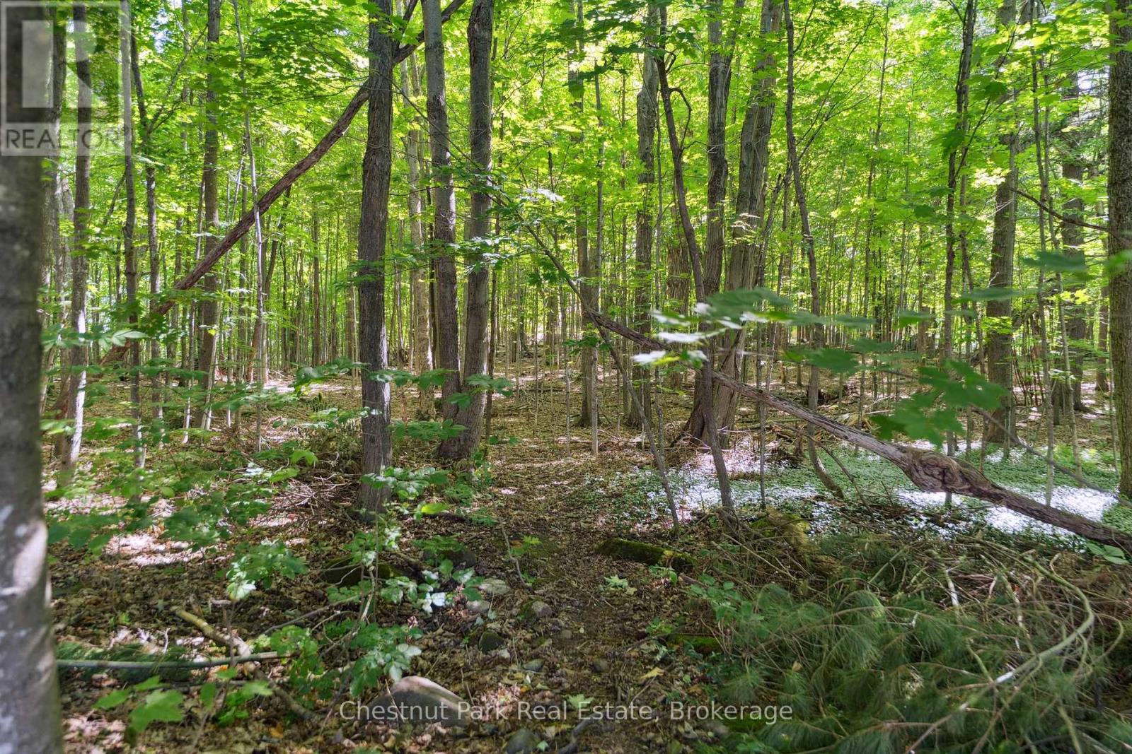 19 - 37 Silver Street, Huntsville (Chaffey), Ontario  P1H 1M2 - Photo 39 - X12246458