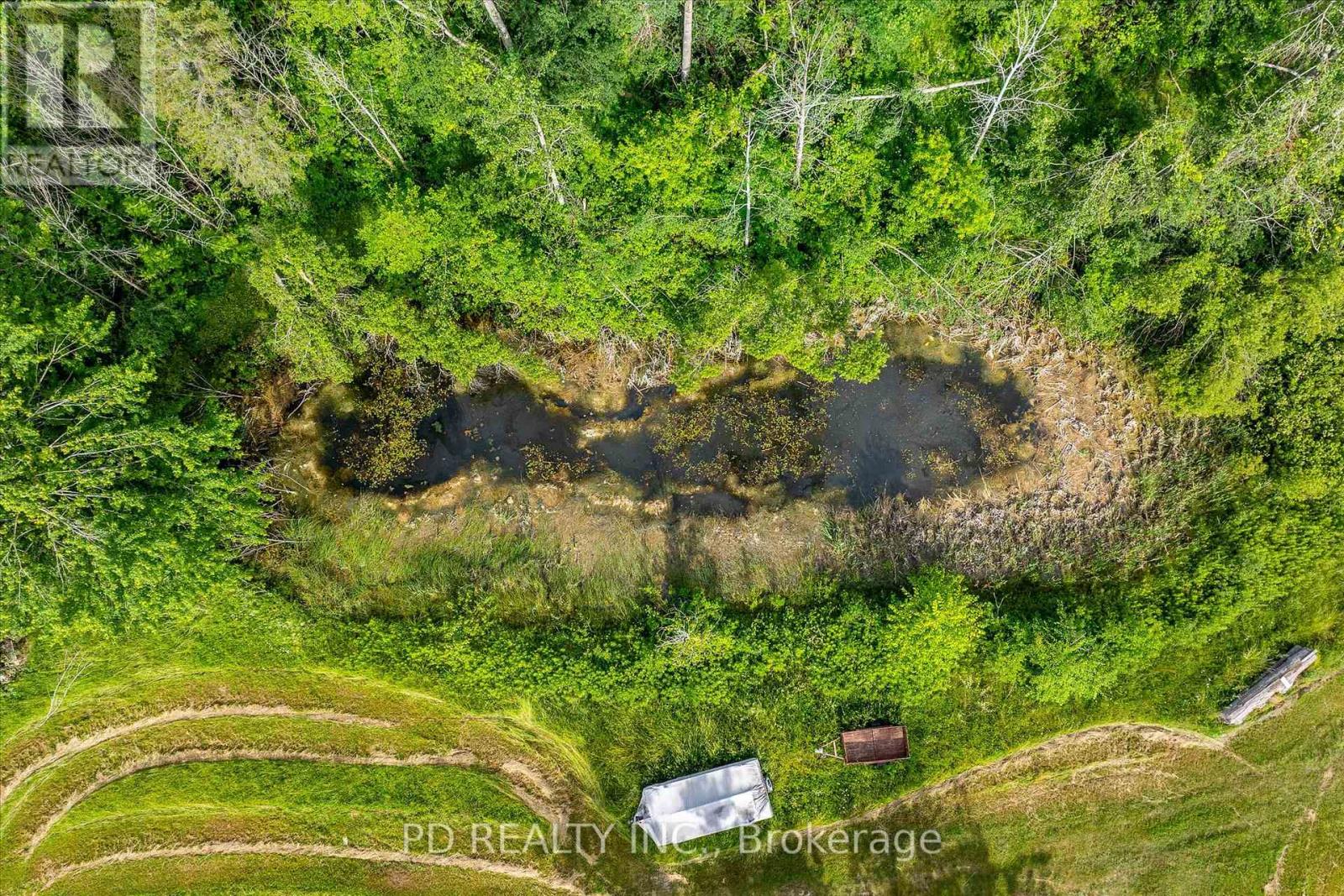 N/a Alma Street N, Kawartha Lakes, Ontario  K0L 2W0 - Photo 19 - X12246551