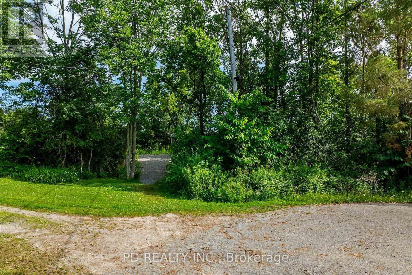 N/a Alma Street N, Kawartha Lakes, Ontario  K0L 2W0 - Photo 31 - X12246551