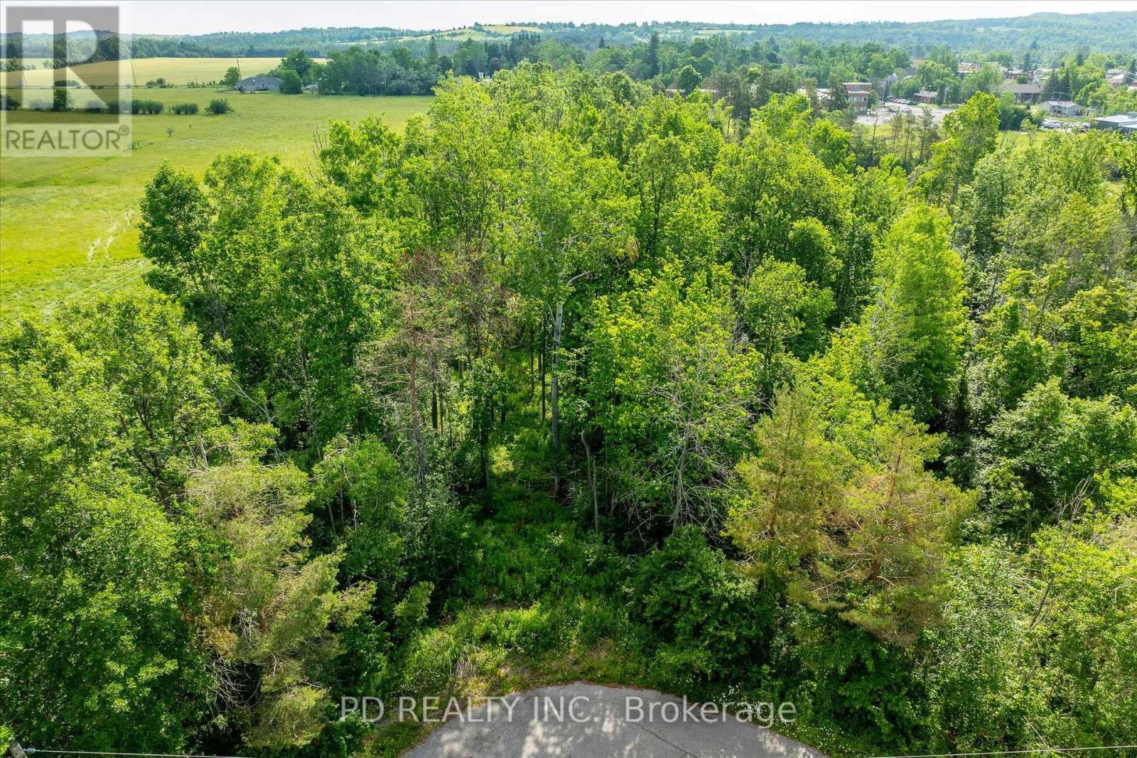 N/a Alma Street N, Kawartha Lakes, Ontario  K0L 2W0 - Photo 33 - X12246551
