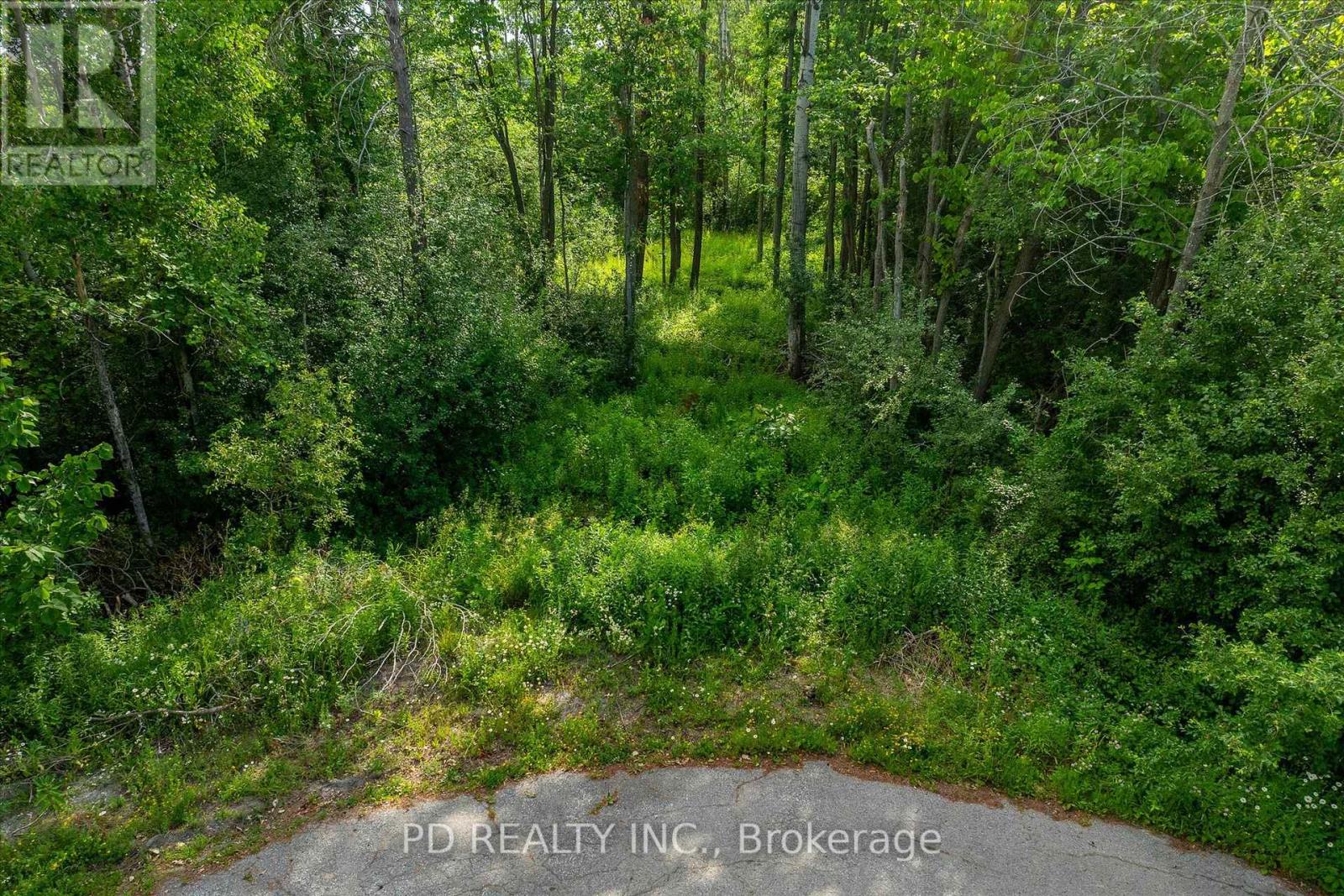N/a Alma Street N, Kawartha Lakes, Ontario  K0L 2W0 - Photo 34 - X12246551