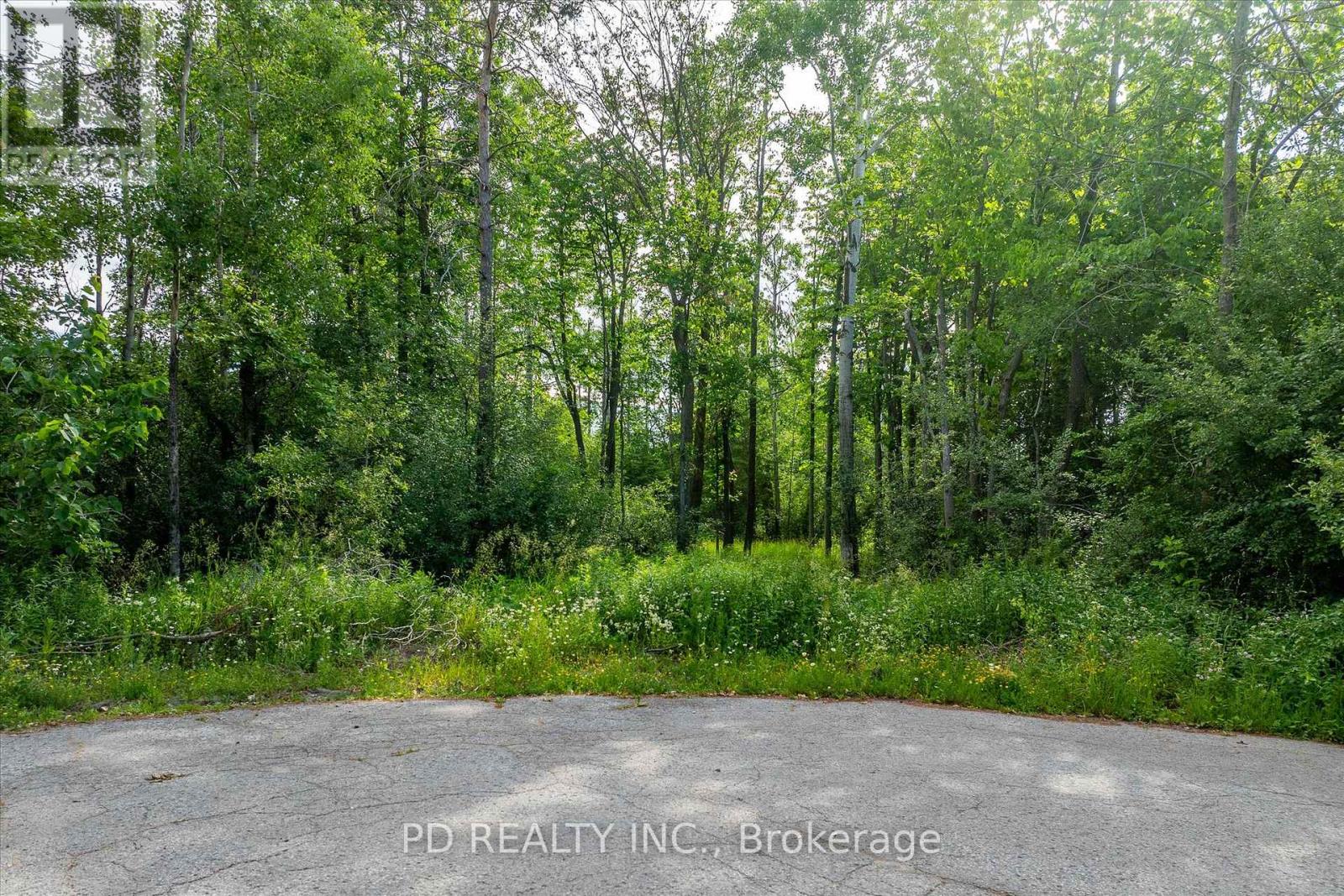N/a Alma Street N, Kawartha Lakes, Ontario  K0L 2W0 - Photo 35 - X12246551