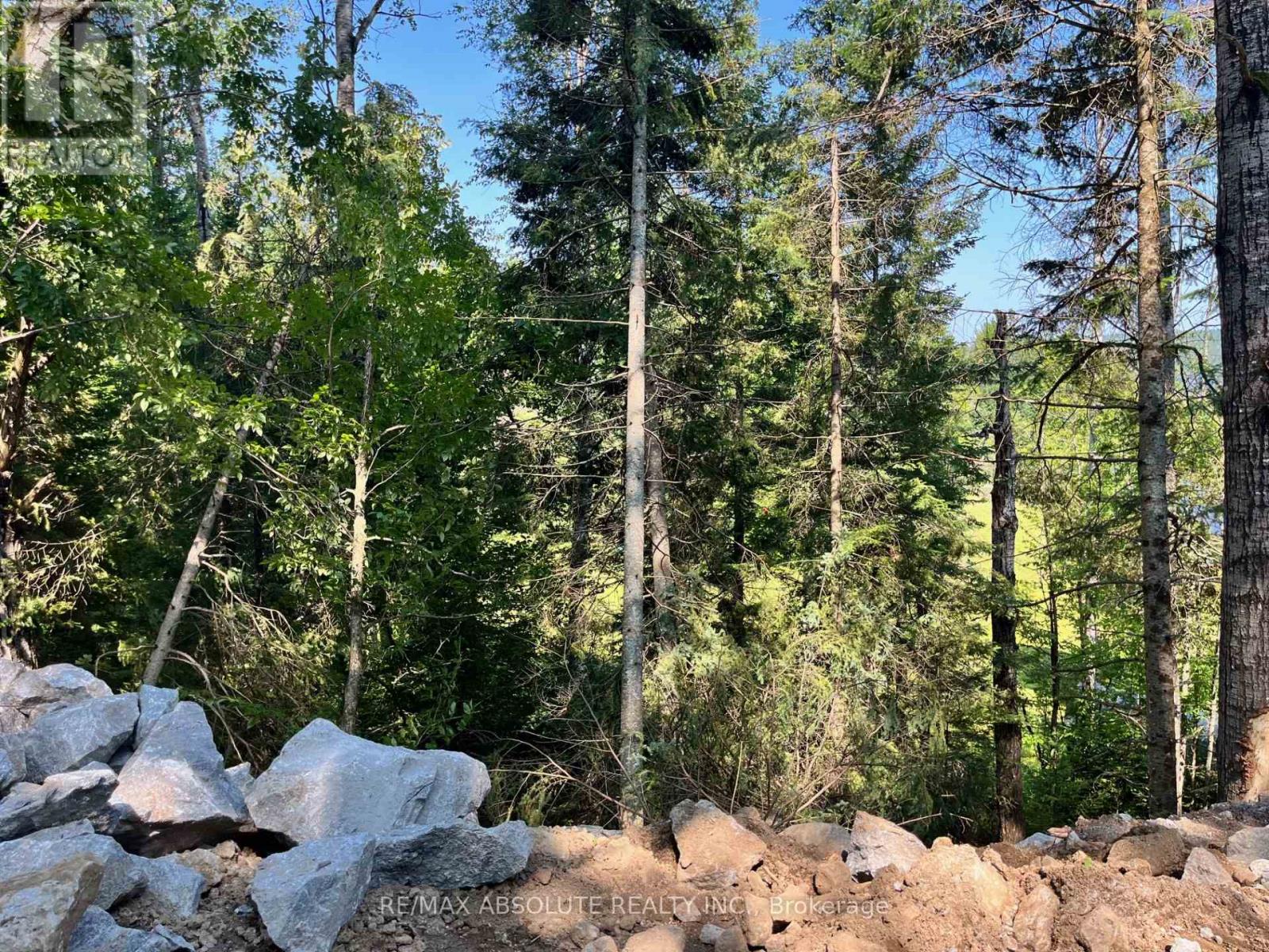 4634-1 Matawatchan Road, Greater Madawaska, Ontario  K0J 2R0 - Photo 7 - X12088024