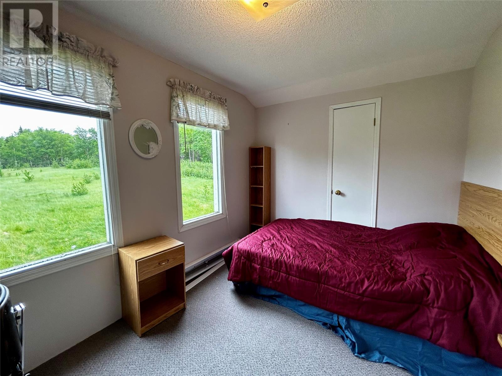10 Birchy Cove Road, Howley, Newfoundland & Labrador  A0K 3E0 - Photo 12 - 1287001