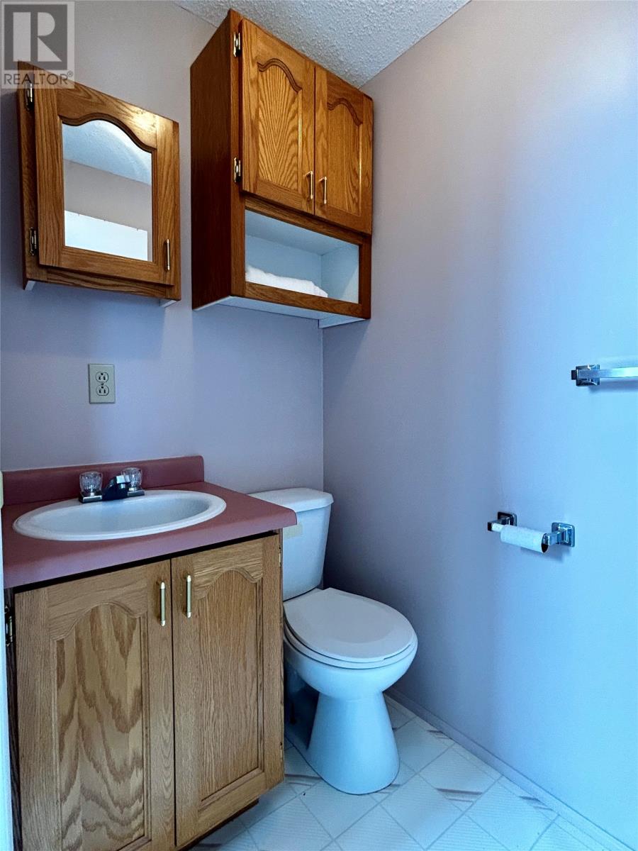 10 Birchy Cove Road, Howley, Newfoundland & Labrador  A0K 3E0 - Photo 13 - 1287001