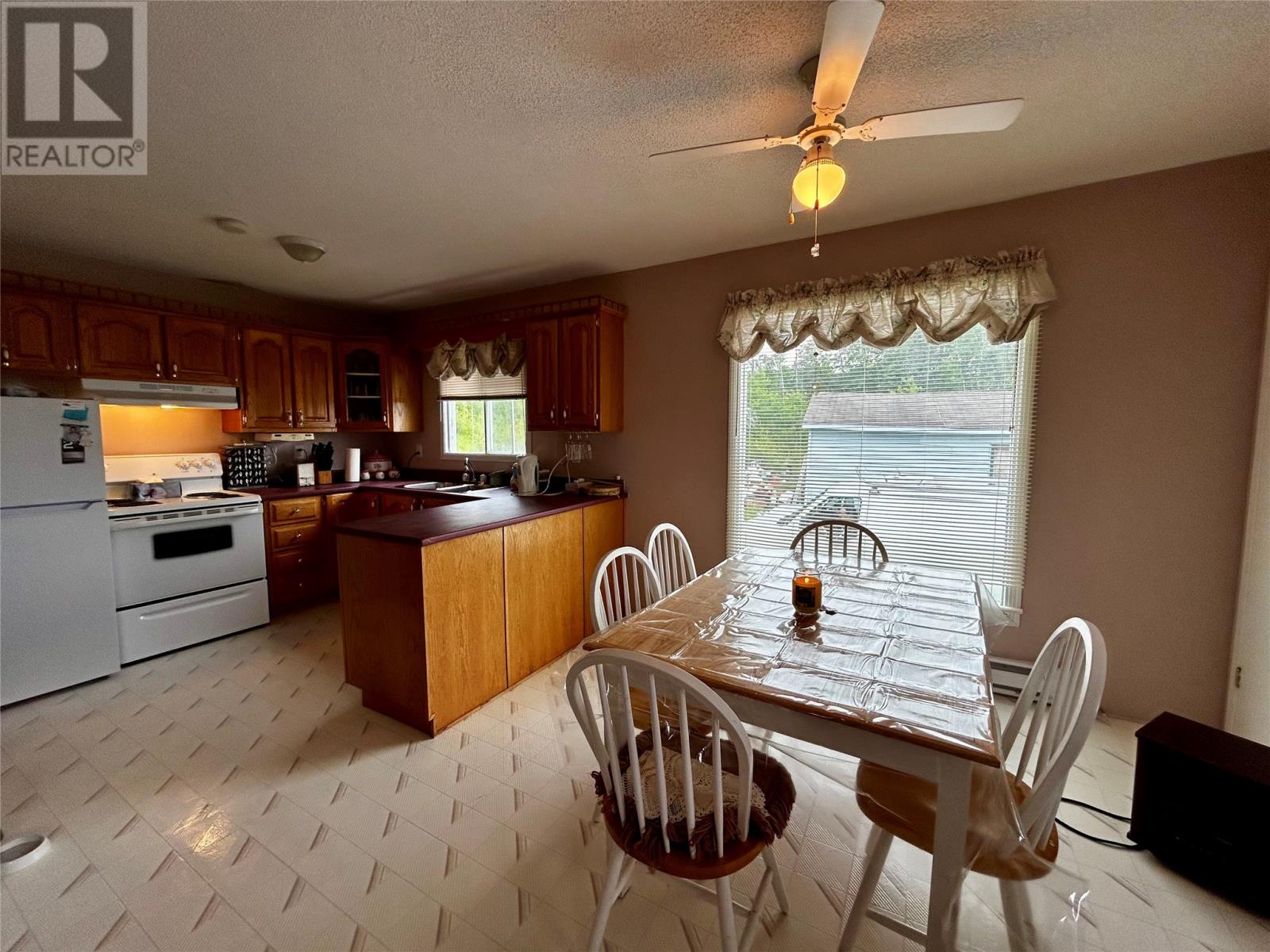 10 Birchy Cove Road, Howley, Newfoundland & Labrador  A0K 3E0 - Photo 2 - 1287001